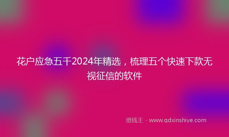 花户应急五千2024年精选，梳理五个快速下款无视征信的软件