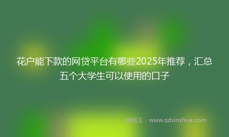 花户能下款的网贷平台有哪些2025年推荐，汇总五个大学生可以使用的口子