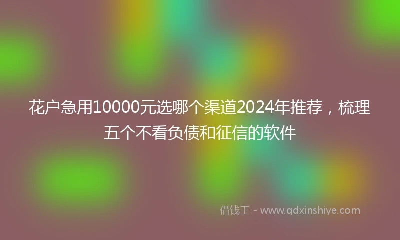 花户急用10000元选哪个渠道2024年推荐，梳理五个不看负债和征信的软件