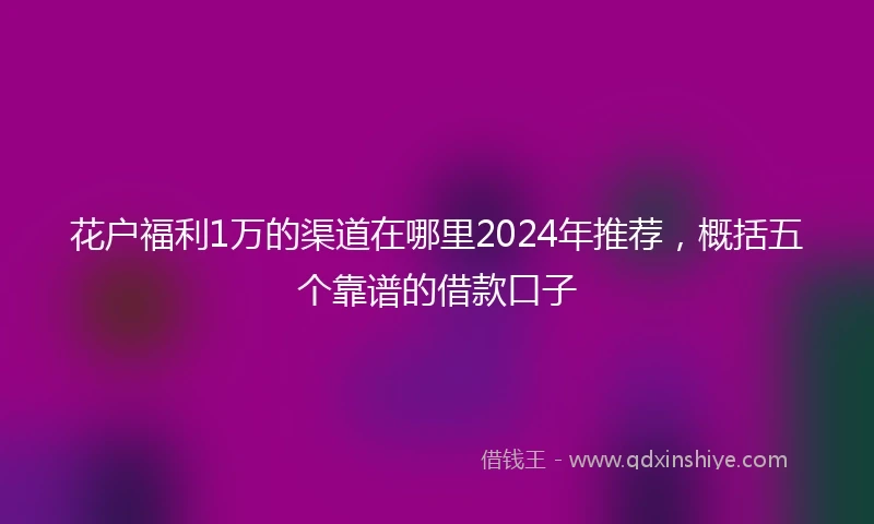 花户福利1万的渠道在哪里2024年推荐，概括五个靠谱的借款口子