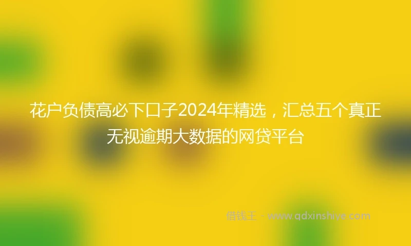 花户负债高必下口子2024年精选，汇总五个真正无视逾期大数据的网贷平台
