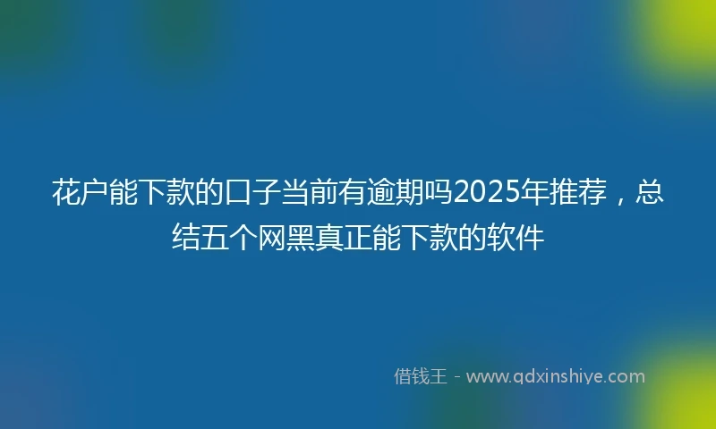 花户能下款的口子当前有逾期吗2025年推荐，总结五个网黑真正能下款的软件