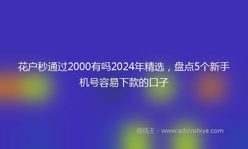 花户秒通过2000有吗2024年精选，盘点5个新手机号容易下款的口子