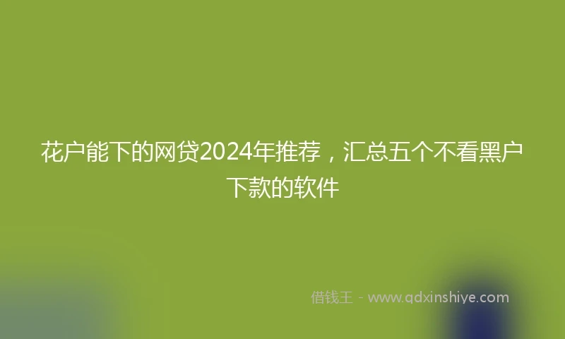 花户能下的网贷2024年推荐，汇总五个不看黑户下款的软件