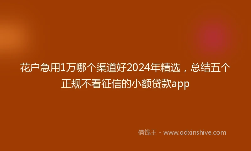 花户急用1万哪个渠道好2024年精选，总结五个正规不看征信的小额贷款app