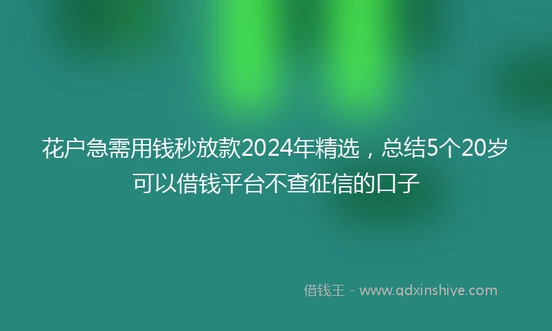 花户急需用钱秒放款2024年精选，总结5个20岁可以借钱平台不查征信的口子