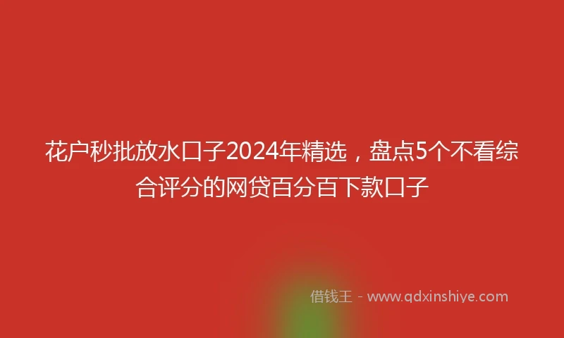 花户秒批放水口子2024年精选，盘点5个不看综合评分的网贷百分百下款口子