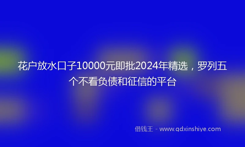 花户放水口子10000元即批2024年精选，罗列五个不看负债和征信的平台