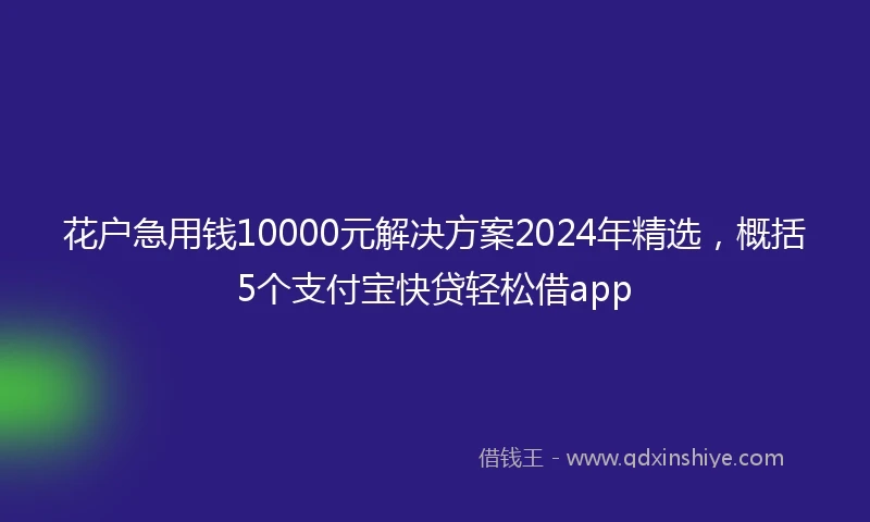 花户急用钱10000元解决方案2024年精选，概括5个支付宝快贷轻松借app