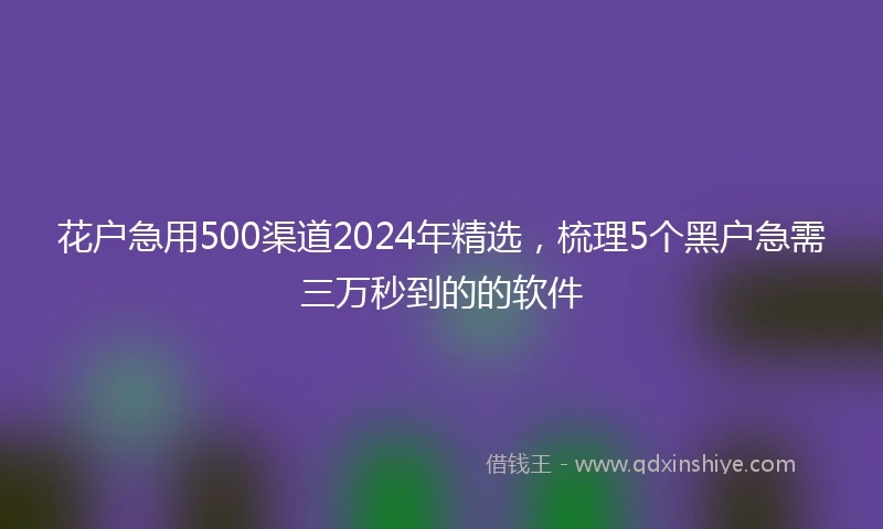 花户急用500渠道2024年精选，梳理5个黑户急需三万秒到的的软件