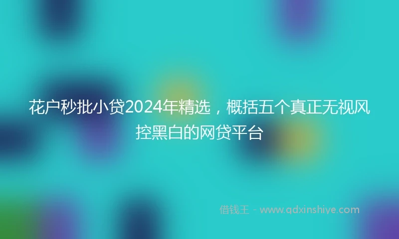 花户秒批小贷2024年精选，概括五个真正无视风控黑白的网贷平台