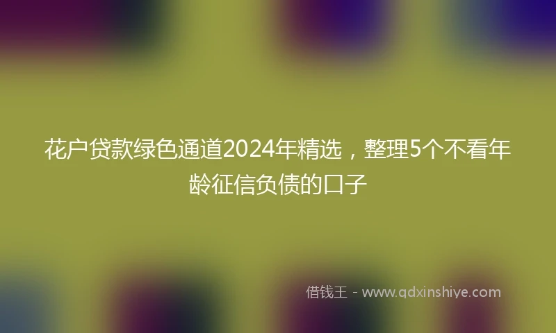 花户贷款绿色通道2024年精选，整理5个不看年龄征信负债的口子