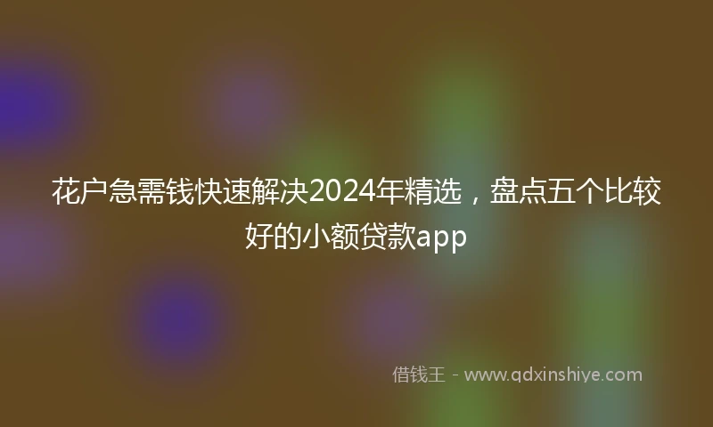花户急需钱快速解决2024年精选，盘点五个比较好的小额贷款app