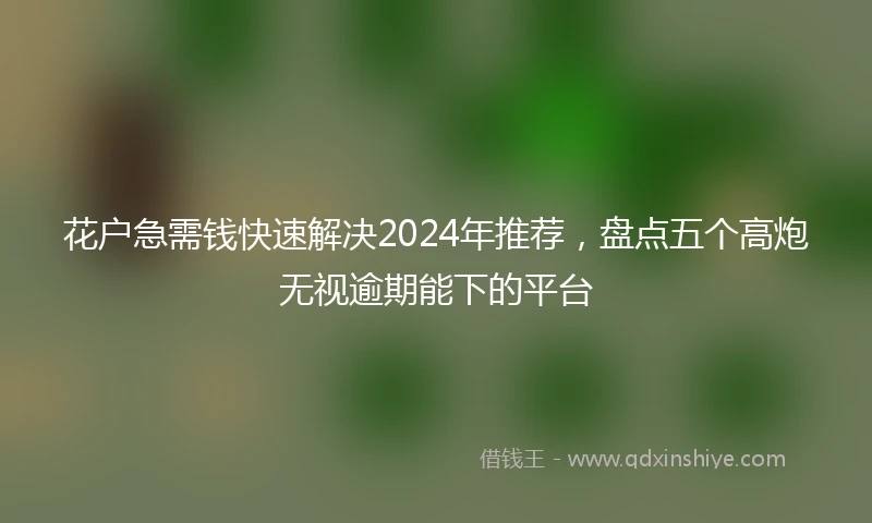 花户急需钱快速解决2024年推荐，盘点五个高炮无视逾期能下的平台