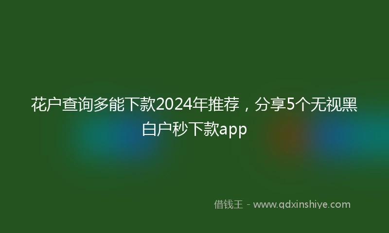 花户查询多能下款2024年推荐，分享5个无视黑白户秒下款app