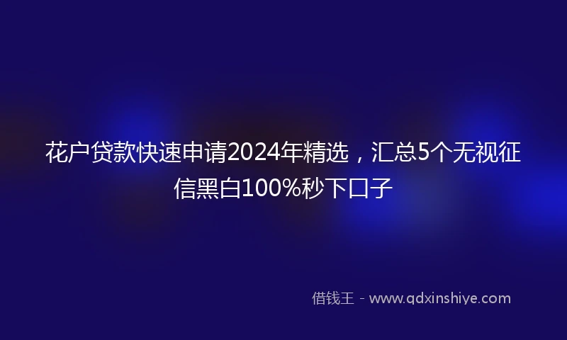 花户贷款快速申请2024年精选，汇总5个无视征信黑白100%秒下口子