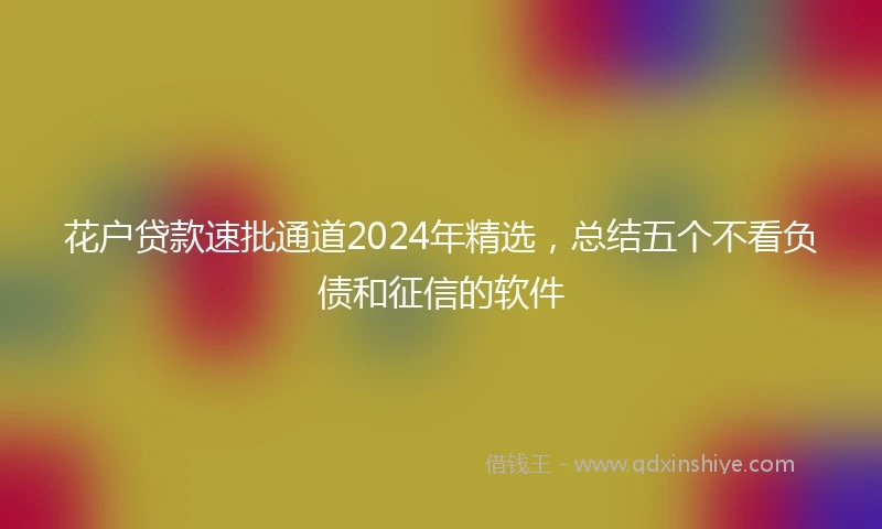花户贷款速批通道2024年精选，总结五个不看负债和征信的软件