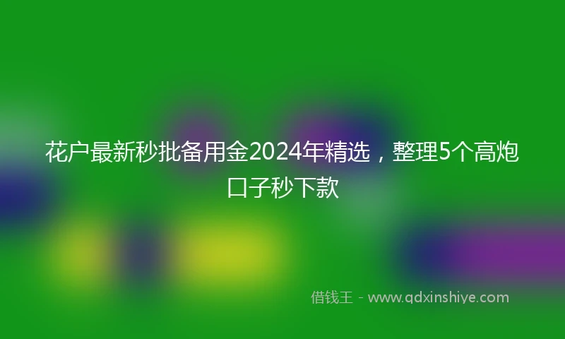花户最新秒批备用金2024年精选，整理5个高炮口子秒下款