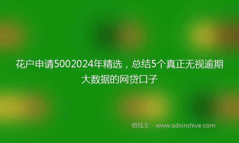 花户申请5002024年精选，总结5个真正无视逾期大数据的网贷口子