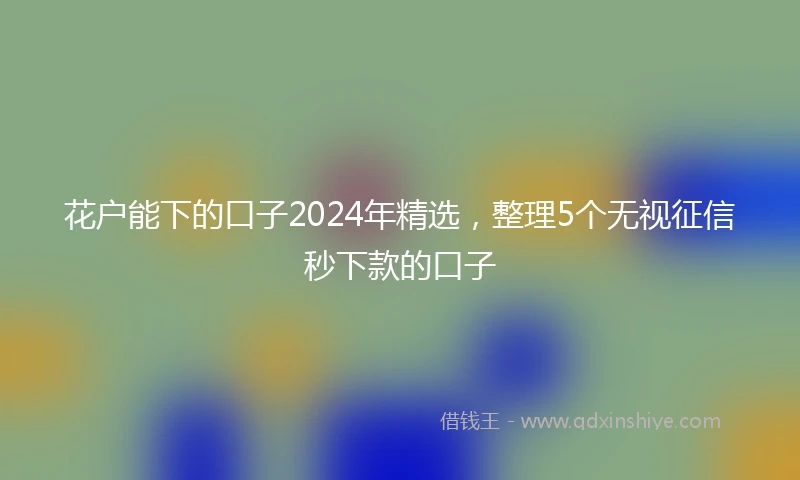 花户能下的口子2024年精选，整理5个无视征信秒下款的口子