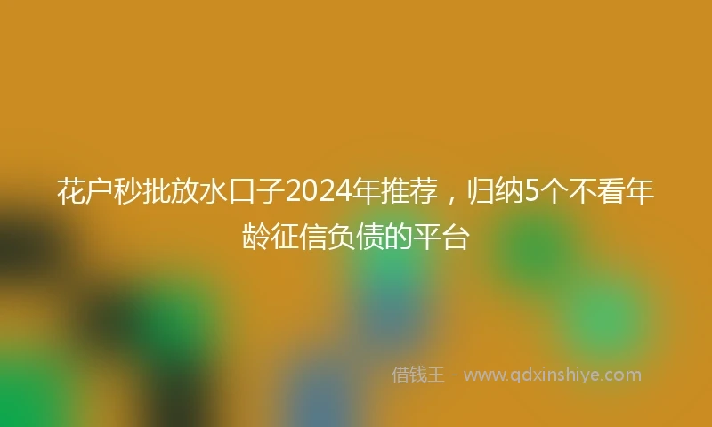 花户秒批放水口子2024年推荐，归纳5个不看年龄征信负债的平台