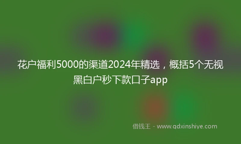 花户福利5000的渠道2024年精选，概括5个无视黑白户秒下款口子app
