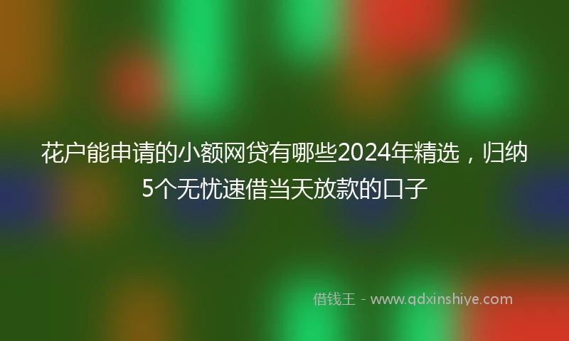 花户能申请的小额网贷有哪些2024年精选，归纳5个无忧速借当天放款的口子