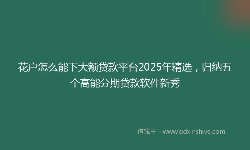 花户怎么能下大额贷款平台2025年精选，归纳五个高能分期贷款软件新秀