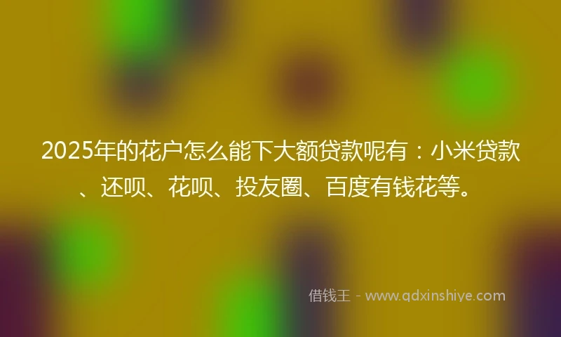 2025年的花户怎么能下大额贷款呢有：小米贷款、还呗、花呗、投友圈、百度有钱花等。