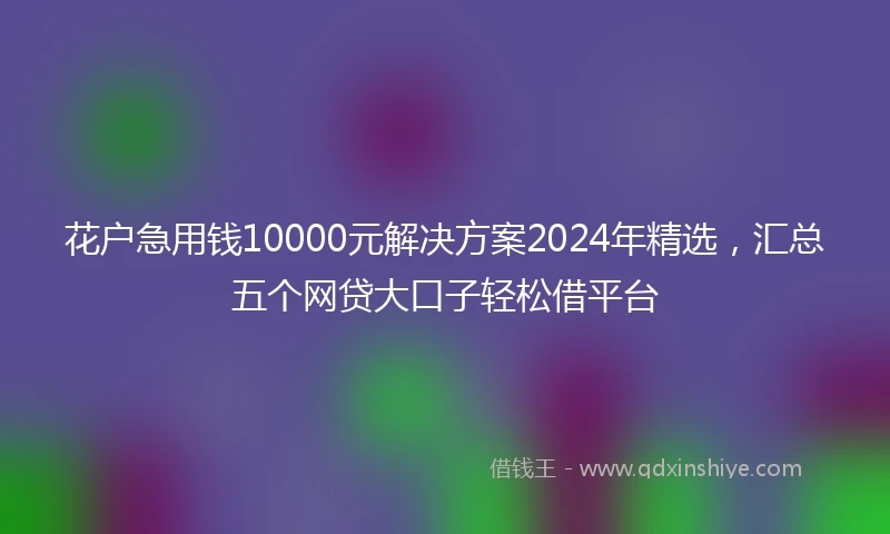 花户急用钱10000元解决方案2024年精选,汇总五个网贷大口子轻松借平台