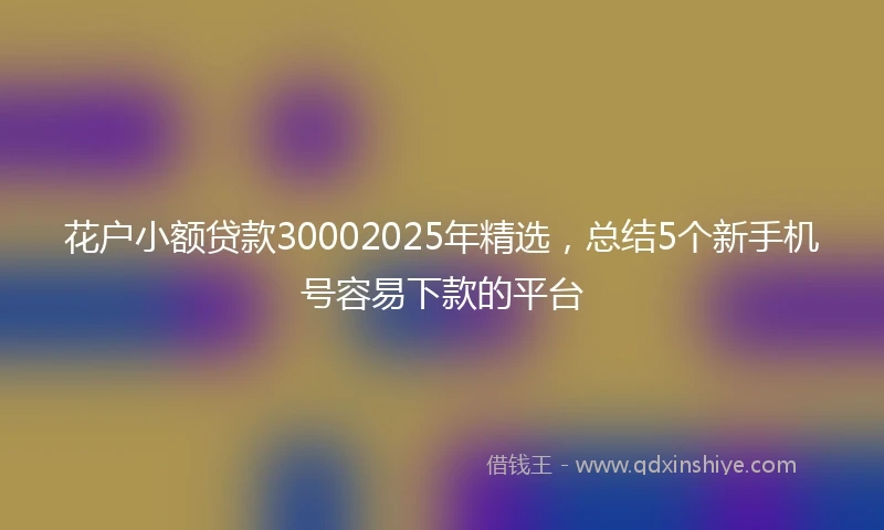 花户小额贷款30002025年精选，总结5个新手机号容易下款的平台