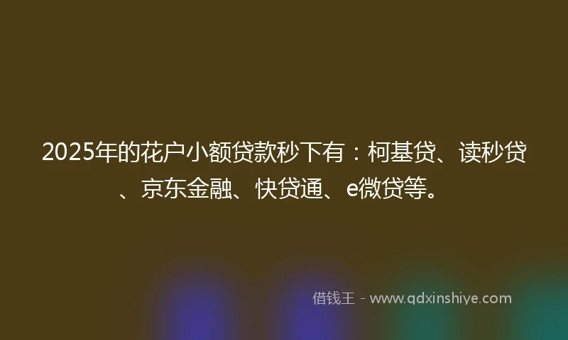 2025年的花户小额贷款秒下有：柯基贷、读秒贷、京东金融、快贷通、e微贷等。
