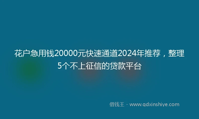 花户急用钱20000元快速通道2024年推荐，整理5个不上征信的贷款平台