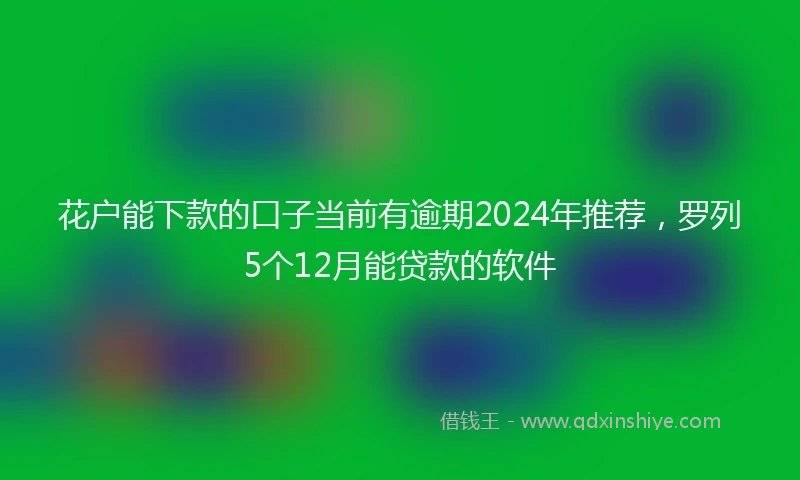 花户能下款的口子当前有逾期2024年推荐，罗列5个12月能贷款的软件