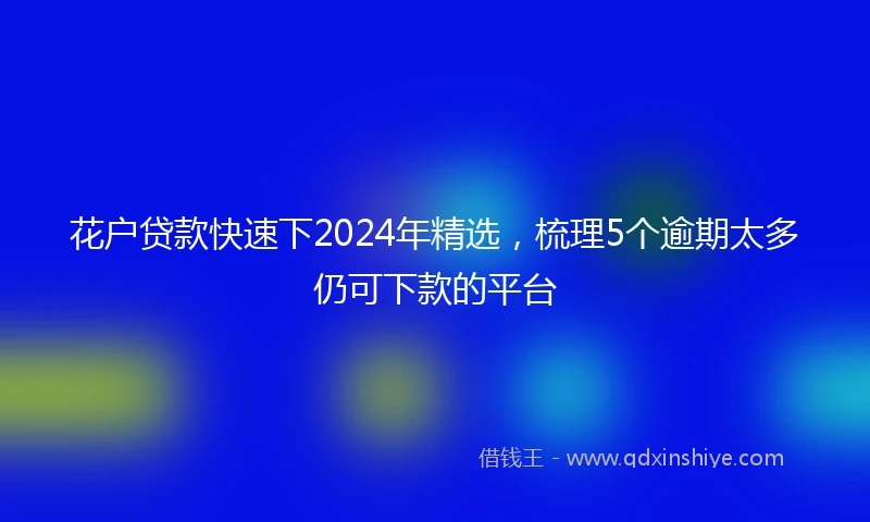 花户贷款快速下2024年精选，梳理5个逾期太多仍可下款的平台