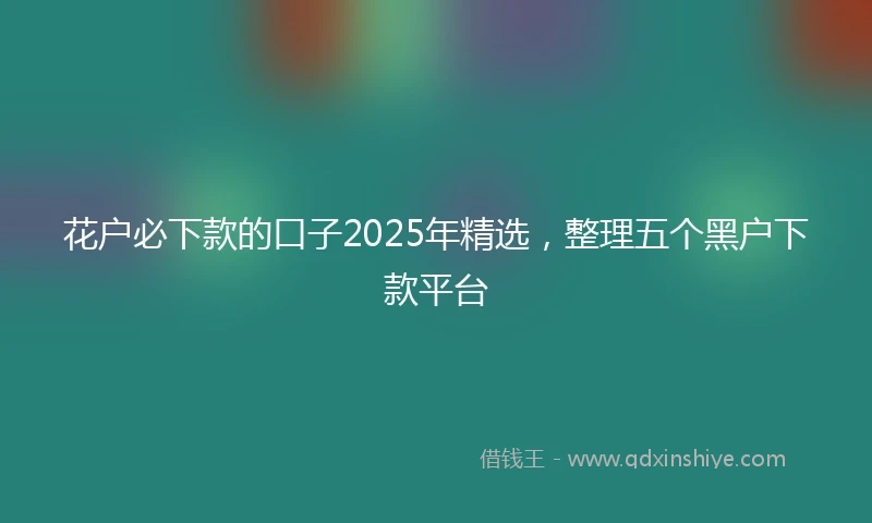 花户必下款的口子2025年精选，整理五个黑户下款平台