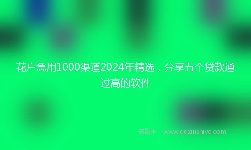 花户急用1000渠道2024年精选，分享五个贷款通过高的软件
