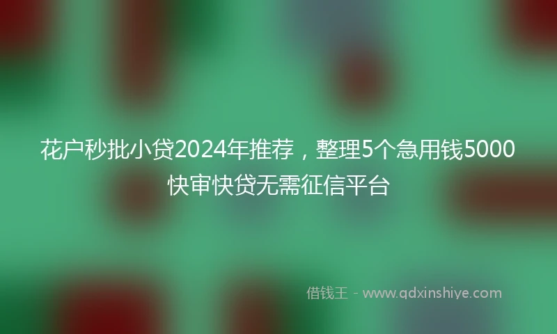 花户秒批小贷2024年推荐，整理5个急用钱5000快审快贷无需征信平台