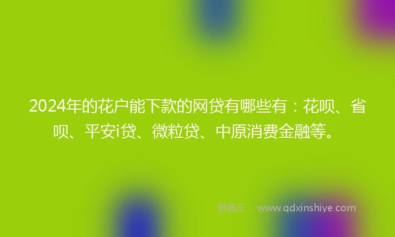 2024年的花户能下款的网贷有哪些有：花呗、省呗、平安i贷、微粒贷、中原消费金融等。