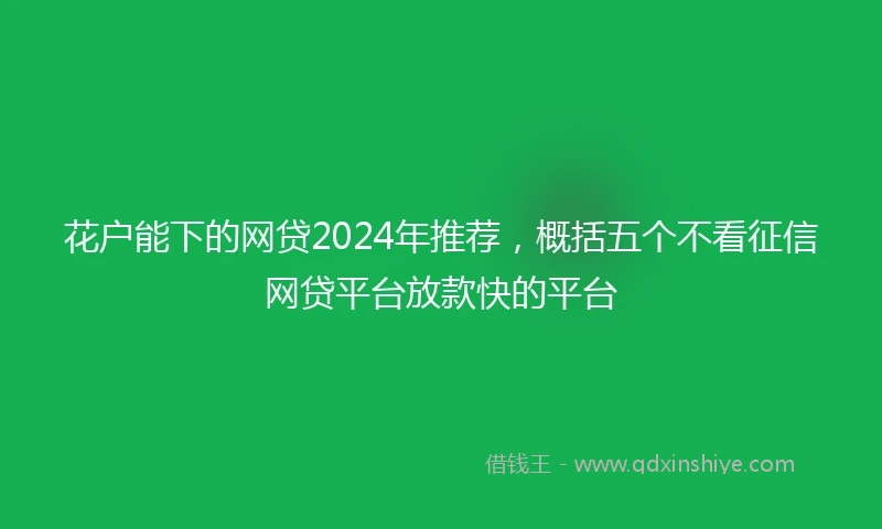花户能下的网贷2024年推荐，概括五个不看征信网贷平台放款快的平台