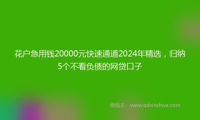 花户急用钱20000元快速通道2024年精选，归纳5个不看负债的网贷口子