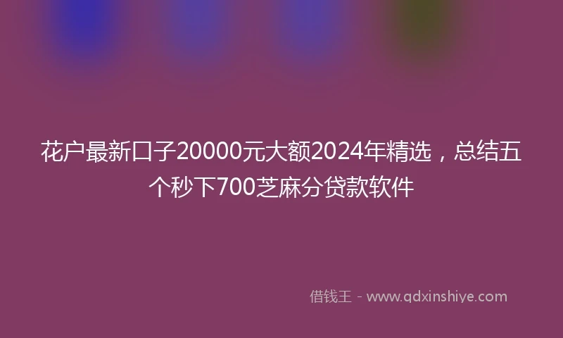 花户最新口子20000元大额2024年精选，总结五个秒下700芝麻分贷款软件