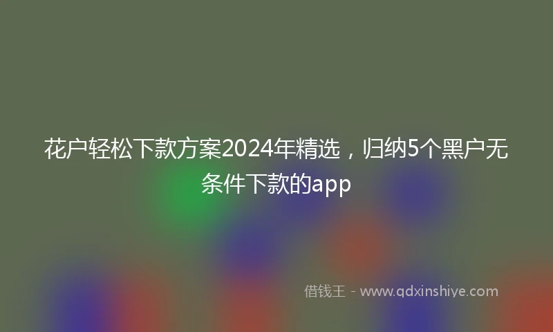 花户轻松下款方案2024年精选，归纳5个黑户无条件下款的app