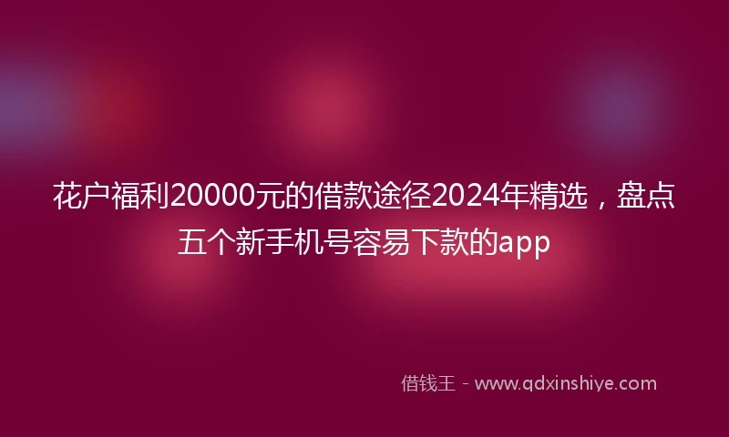 花户福利20000元的借款途径2024年精选，盘点五个新手机号容易下款的app