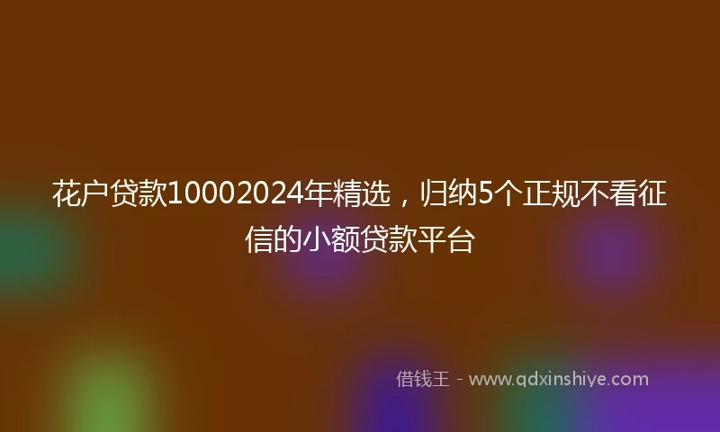 花户贷款10002024年精选，归纳5个正规不看征信的小额贷款平台
