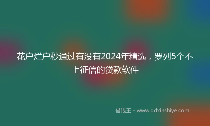 花户烂户秒通过有没有2024年精选，罗列5个不上征信的贷款软件