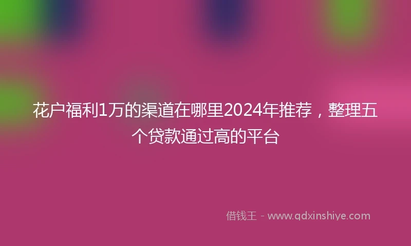 花户福利1万的渠道在哪里2024年推荐，整理五个贷款通过高的平台