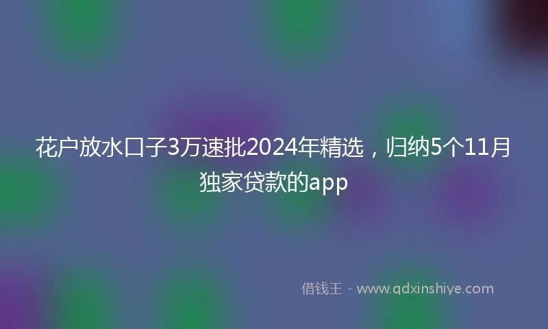 花户放水口子3万速批2024年精选，归纳5个11月独家贷款的app