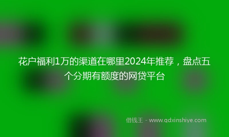 花户福利1万的渠道在哪里2024年推荐，盘点五个分期有额度的网贷平台