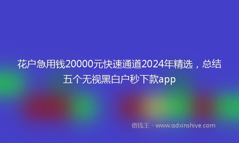 花户急用钱20000元快速通道2024年精选，总结五个无视黑白户秒下款app